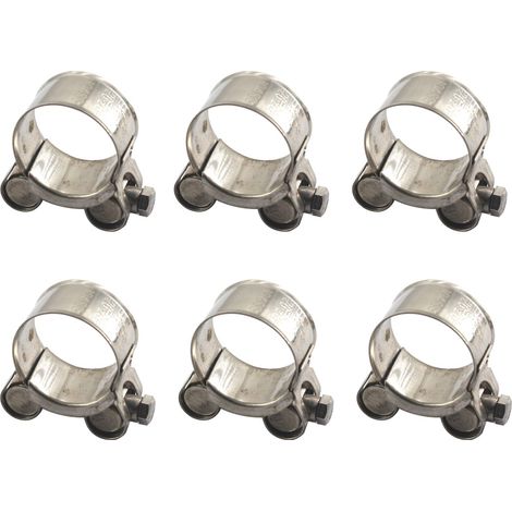 Colliers de serrage en acier inoxydable 304, boulon en T, pour tube de 17-19 mm, lot de 6 (1/5)