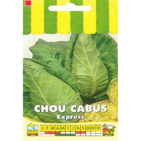 Chou 'Express' le sachet de 600 graines (3g) (1/2)