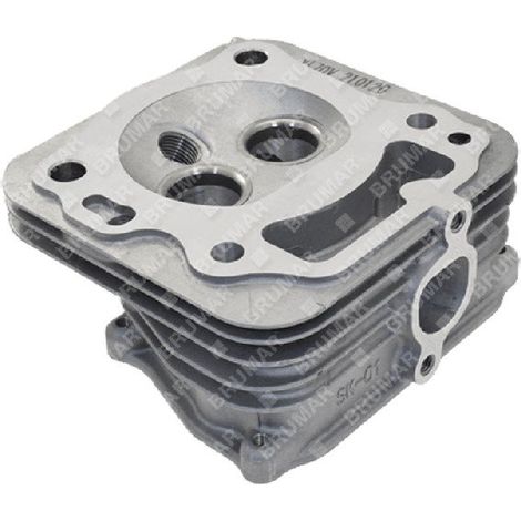 Zylinderkopf für DAYE-Motoren - DAYEE Y8110000000 - 055896