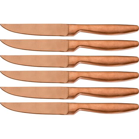 Set 6 Coltelli da Tavola Lama Liscia in Acciaio Inox Jacob Rame (1/2)