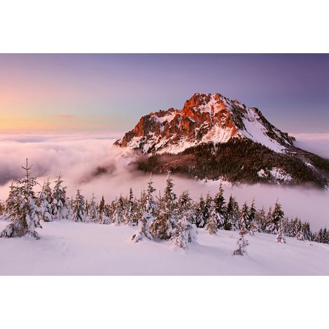 Papier peint panoramique montagne enneigée | Tapisserie panoramique neige & sapin pour salon | Papier peint panoramique paysage pour chambre - 384 X 260 cm (8 pièces) (1/2)