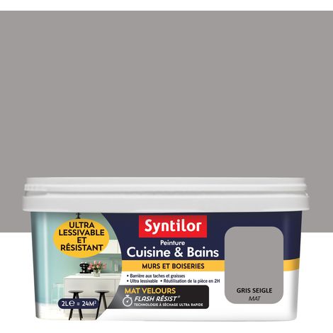 Peinture Cuisine & Bains SYNTILOR Gris seigle 2 L (1/4)