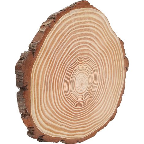 Tranches de bois naturel brut, rondelles en bois non finies, ornements en bois irrégulier avec écorce, 29x26cm/11,4x10,2in, lot de décoration artisanale (1/5)