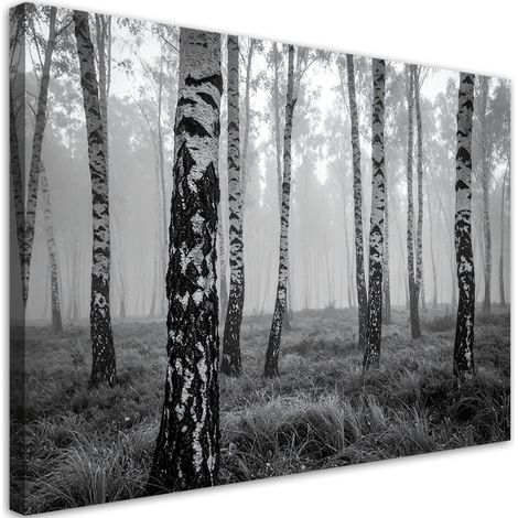 Wandbild Birkenwald Schwarz-Weiß-Ansicht 30x20 (1/5)