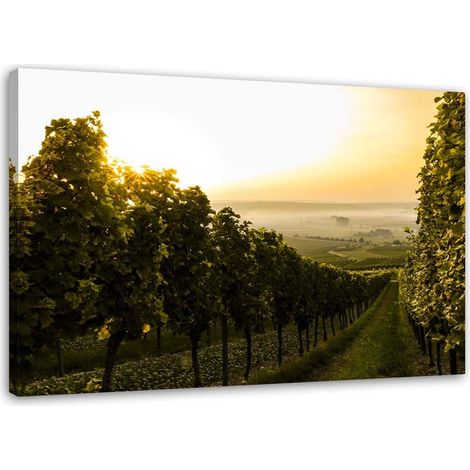 Tableau déco Raisins dans vignoble 100x70 (1/5)