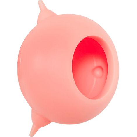 Silikon-Set für Welpen und Kätzchen: Fläschchen mit 3 Saugern, Beißring und Futternapf (1 Fläschchen), hautfarbenes Rosa (1/5)