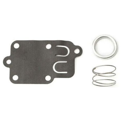Membrane carburateur Briggs et Stratton