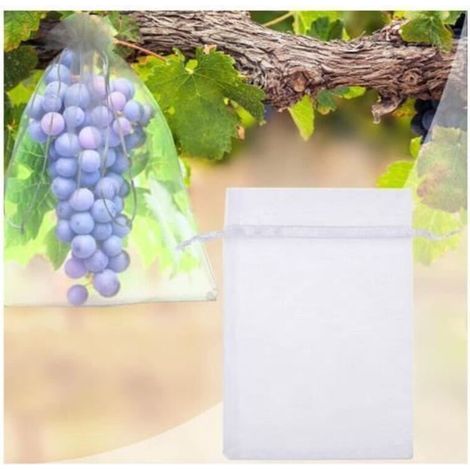 Lot de 100 Sacs Organza Transparent 30x20 cm pour Fruits Délicats Pommes Poires (1/4)