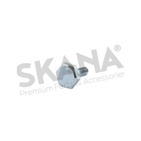 Vis oder Achse mit M6 x 16,5 mm für den Rücksperrhebel für Microtraktor, Original Stiga.