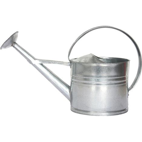 Ac-Deco – Arrosoir en zinc 8L – Pomme d'arrosage amovible – Grande ouverture de remplissage – Pour arrosage précis et efficace (1/5)