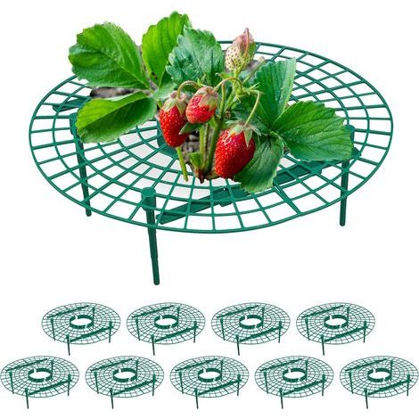 Support pour Fraises, Lot de 10, Protection Contre pourriture, limaces, pour fraisier, Plastique, Vert (1/5)