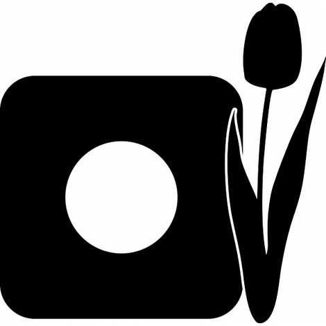 Adesivo protettivo per Switch - Tulipano (1/5)