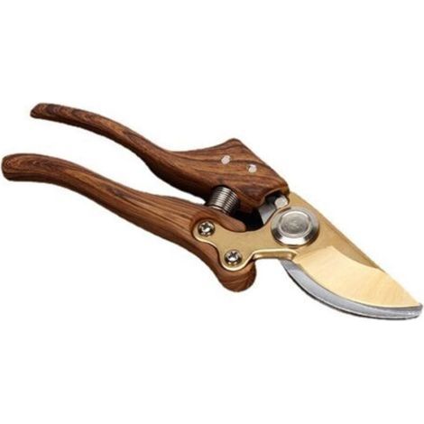 – Handschere aus japanischem SK4-Stahl – Gehärtete Klinge für Äste bis 30 mm – Ergonomischer Aluminiumgriff – Präziser und sauberer Schnitt (1/5)
