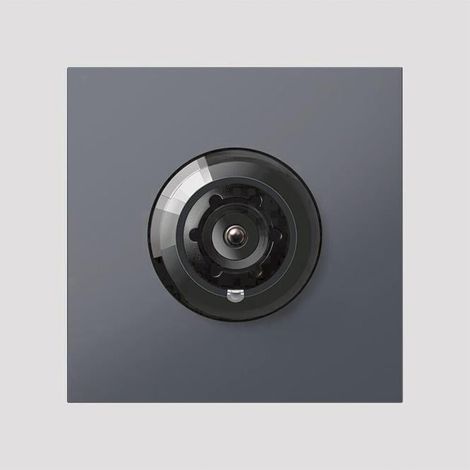 Telecamera bus Siedle bcm 753-0 ag visione notturna a infrarossi