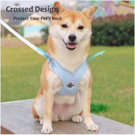 Harnais pour chien de petite et moyenne taille avec laisse, harnais réfléchissant réglable, harnais rembourré anti-fuite pour chiot, adapté à la marche et à la course, 1 paquet (1/4)
