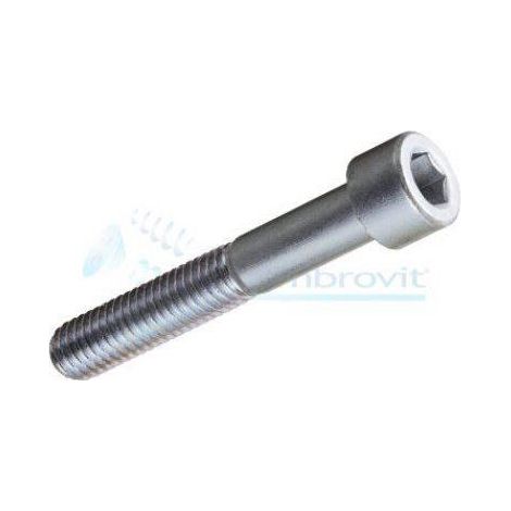 VITE TCEI mm.5x35 DIN912 UNI5931 8.8