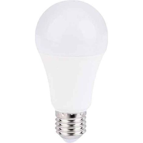 Ampoule 12-24 VDC 8W E27 A60 pour caravanes, camping-cars et - Blanc Froid (1/4)