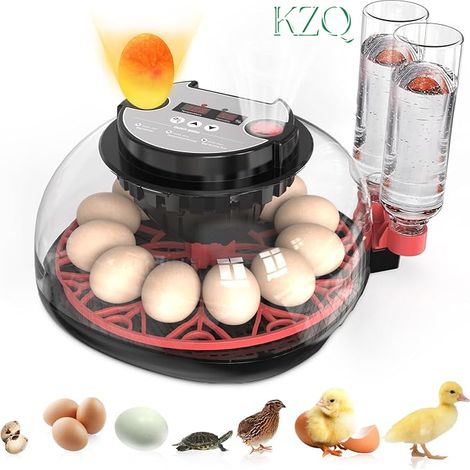 Incubateur Automatique pour Oeufs avec Contrôle de Température et Affichage d'Humidité 12 Places pour Poulets Canards Oies Vue 360°-KZQ (1/5)