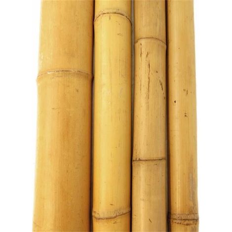 Bambusrohr 180 cm Ø 4/5 cm Rankhilfen