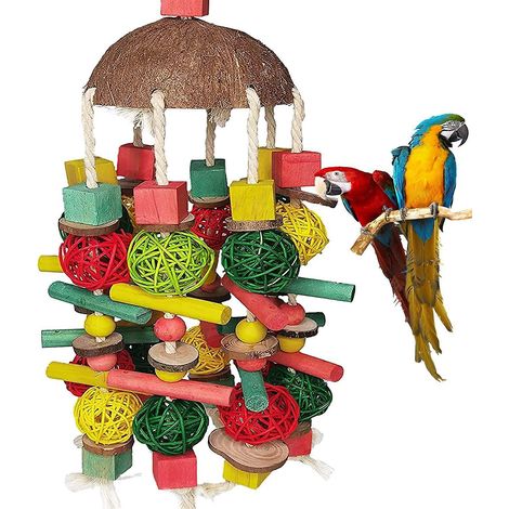 jouet  Mcher Pour Perroquet, Balle En Rotin Colore En Coquille De Noix De Coco Pour Perroquet Gris D'afrique, Perroquet Basilic, Perroquet  Queue (1/5)