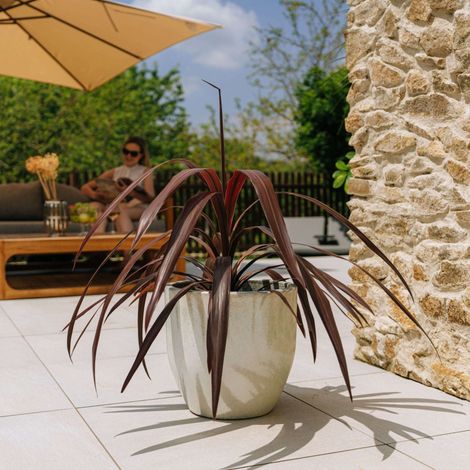 Vaso LANCELOT 36x34cm perla (1/3)