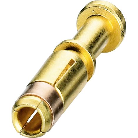 Crimpkontakt für Serie P20 1607658 ST-20KS020 Gold Phoenix Contact Inhalt: 1 St.