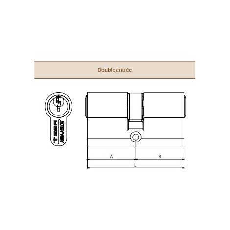Zylinder TESA TE5 vernickelt 30x80 variiert - 3 Schlüssel - 50303080N