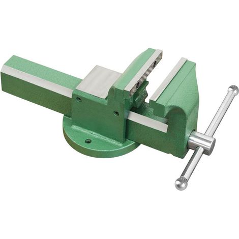 Schraubstock 125 mm aus Stahl Fervi 0591/125