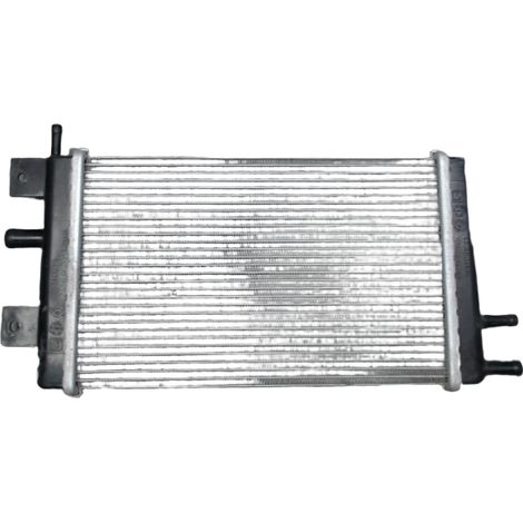 [PRODUIT D'OCCASION] Radiateur DACIA Spring ♻️ Ref Oe. 214109411r - Garantie à vie (1/3)