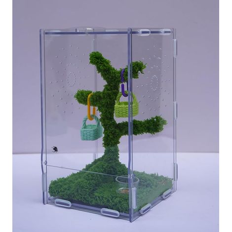 Kit Terrarium pour Araignées Sauteuses - Habitat Acrylique Ventilé 22x13x12 cm avec Pince Nourriture et Décor - Convient aux Reptiles et Petits Animaux Arboricoles (1/4)