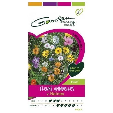 Gondian - Fleurs Annuelles Naines Multicolore