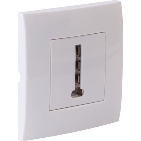 Prise téléphone encastrée + plaque de finition Kalya - Blanc - Zenitech (1/5)