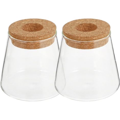 Vase Hydroponique en Verre 2pcs pour Fleurs et Décoration Maison Bouchon en Liège, Capacité 400ml, Trou 6,5cm, Design Chic et Forme Simple pour Bureau (1/5)