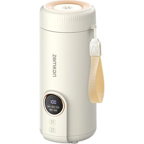 Bouilloire de voyage, tasse à eau électrique portable, petite bouilloire électrique 304 550 ml (1/5)
