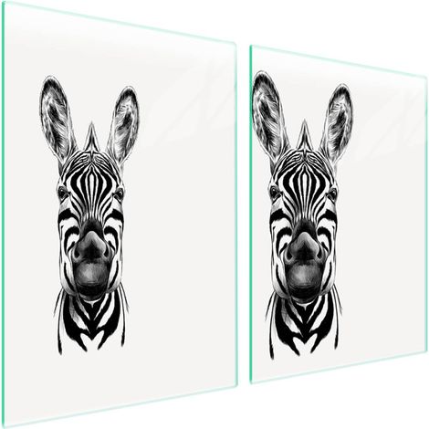 Plaque de protection en verre pour poêle 2x45x52 Zebra (1/5)