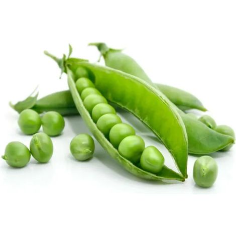 Semi di pisello "a grano rugoso rondo " piante per orto e giardino coltivazione domestica  kg 0.5e professionale