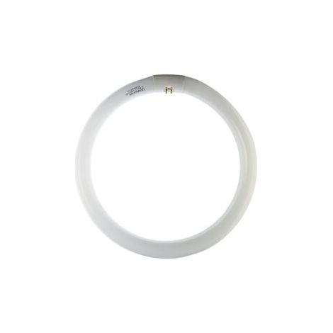 CIRCOLINA 40W G10Q 3200LM 4200K- 12,0 pz