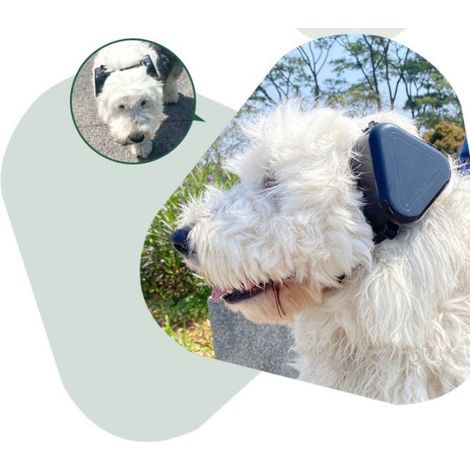 (Schwarze) Geräuschunterdrückende Kopfhörer für Hunde zum Schutz ihres Gehörs.
