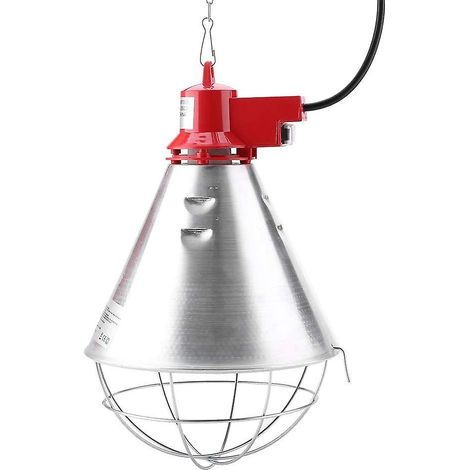 Lampe chauffante incandescente pour poussins, ampoule infrarouge rouge avec variateur d'intensité pour poussins, porcelets et volailles, prise UE 220 V (1/5)