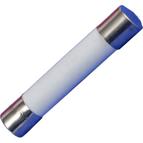 Fusibile 6,3 x 32 mm - 10 A. - 250 V - Forni a Microonde - WHIRLPOOL - 4369665