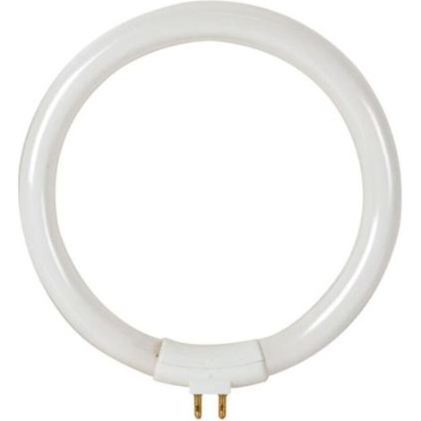 Lot de 2 AMPOULE DE RECHANGE DE 12W/T4 POUR VTLAMP8 VELLEMAN LAMP22/8 (1/3)