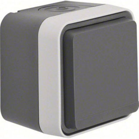 Prise 2P+T avec clapet Berker 47633505 W.1 apparent gris, gris clair (1/2)