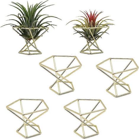 6 Pcs Geometric Air Plant Holder Airplants Rack Metal Plants Stand-- (1/5)