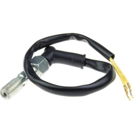 Sensor de freno de doble presión TRW ZF M 10X 1.00