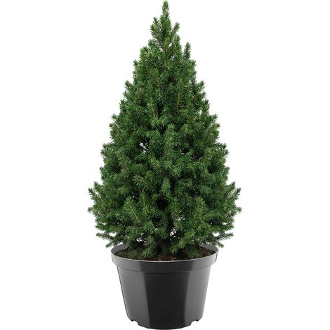 Garronda Pot de Pépinière Rond en Plastique Ø45,5 x 30 cm (35L) - Pot Semis Robuste avec Drainage Repiquage Pot de Fleur et Culture pour Serre Horticulture Jardin Intérieur Extérieur GD-0202