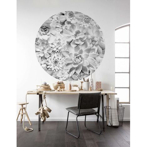 Komar Echeveria 125 x 125 cm, Stickers pour les murs D1-046 (1/3)
