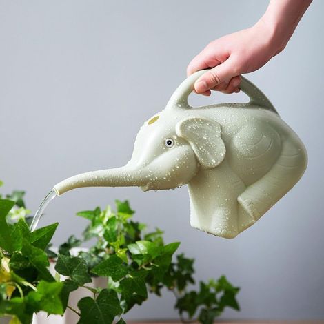 Arrosoir, 2 L, pour plantes, fleurs, bonsaïs et pots en intérieur ou en extérieur, contrôle précis du débit pour l'entretien quotidien.-AquaForge (1/5)