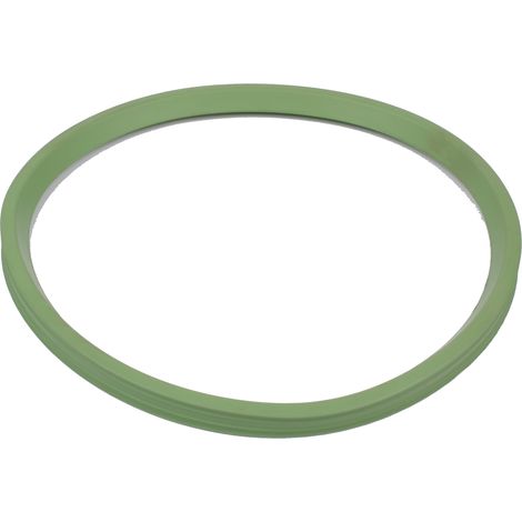 BLÜCHER EuroPipe Dichtung FPM DN 250