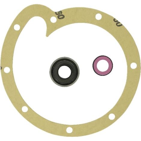 Kit de reparaci贸n de bomba de agua Case - IH CASE IH 3055285R95