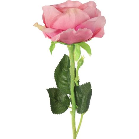 Rosa, fiore singolo, rosa scuro (1/4)